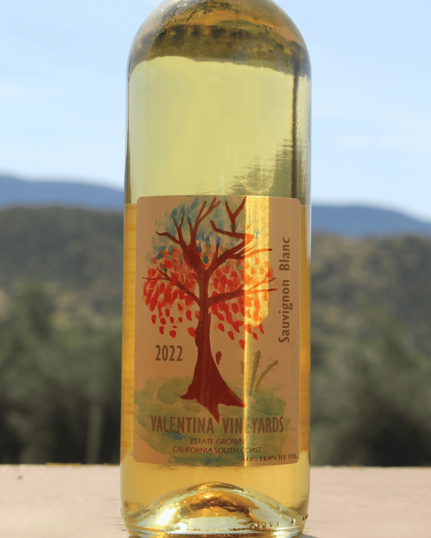 Valentina Vineyards 2022 Sauvignon Blanc