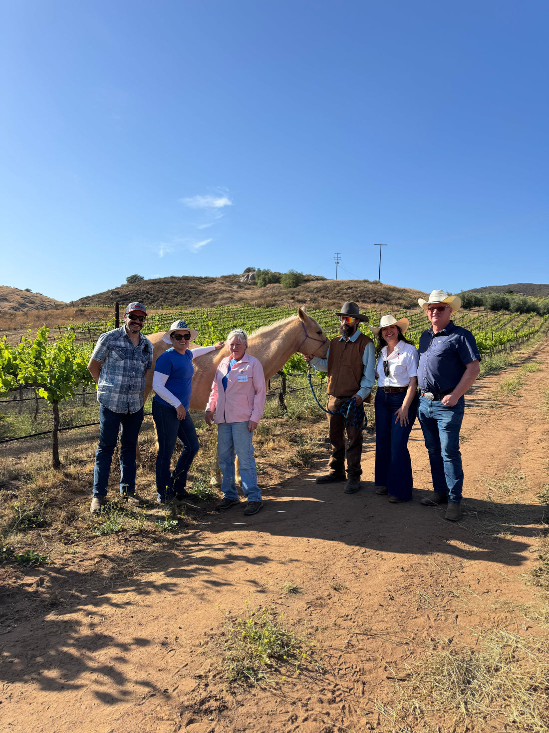 A Day for a Cause: Supporting Tecate Horse Rescue at Valentina Vineyards