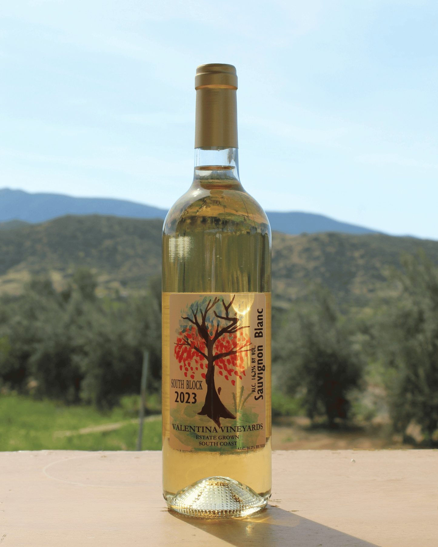 Valentina Vineyards 2023 Sauvignon Blanc