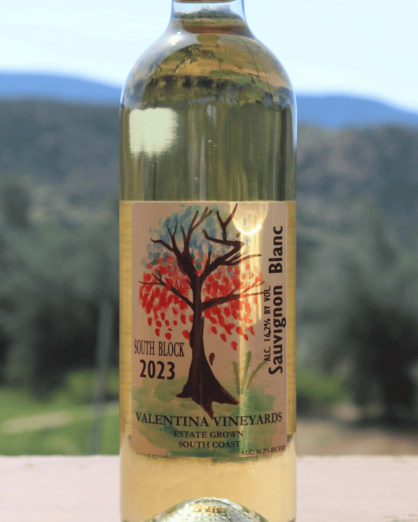 Valentina Vineyards 2023 Sauvignon Blanc