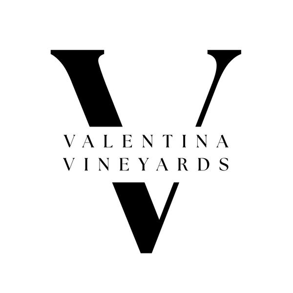 Valentina Vineyards logo with a stylized 'V' on a white background